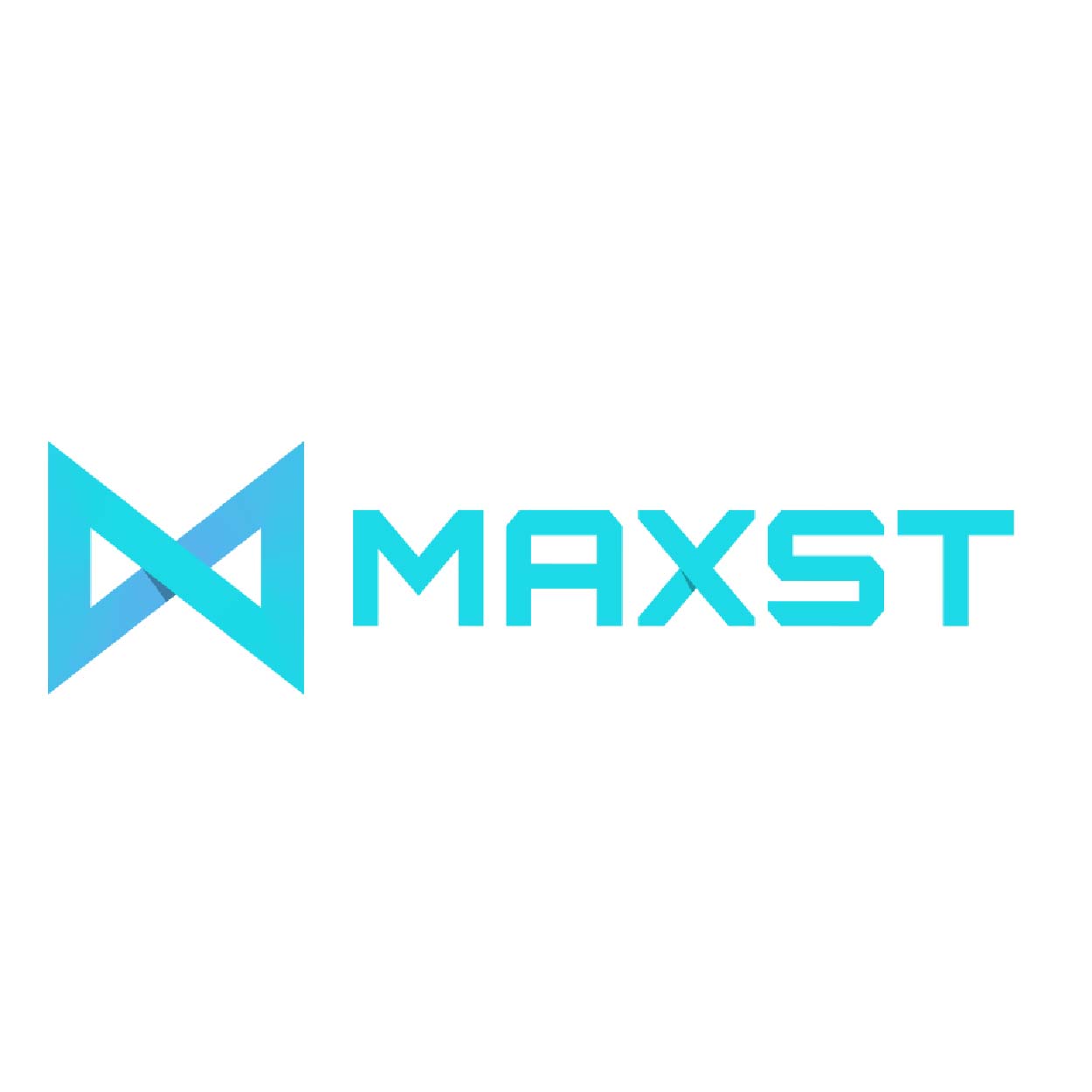 maxst 로고