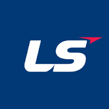 lsnetworks 로고