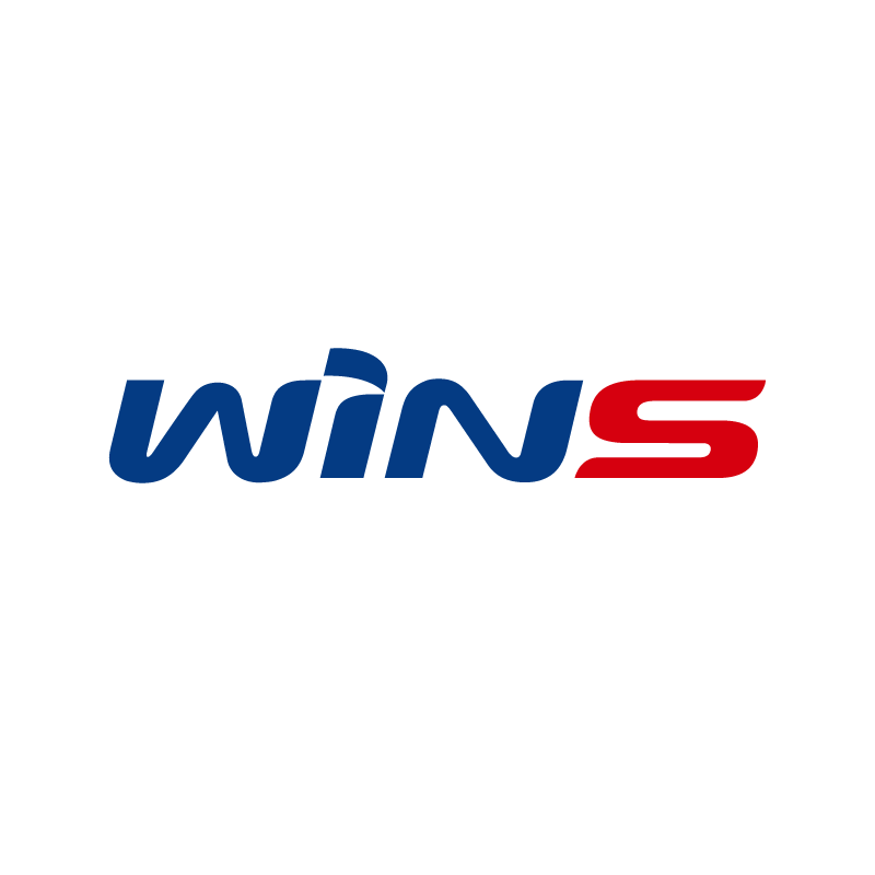 wins21 로고